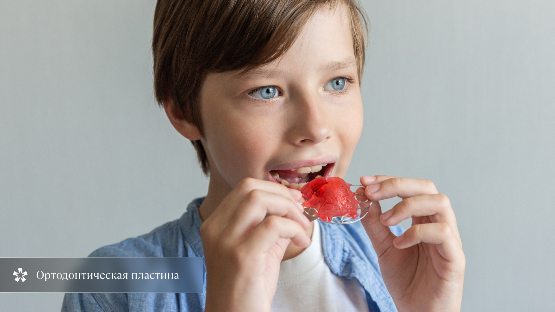 Ортодонтическая пластина